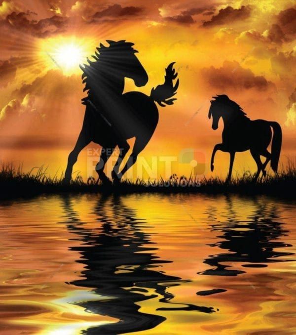 Silhouette of Sunset Horses Dishwasher Sticker