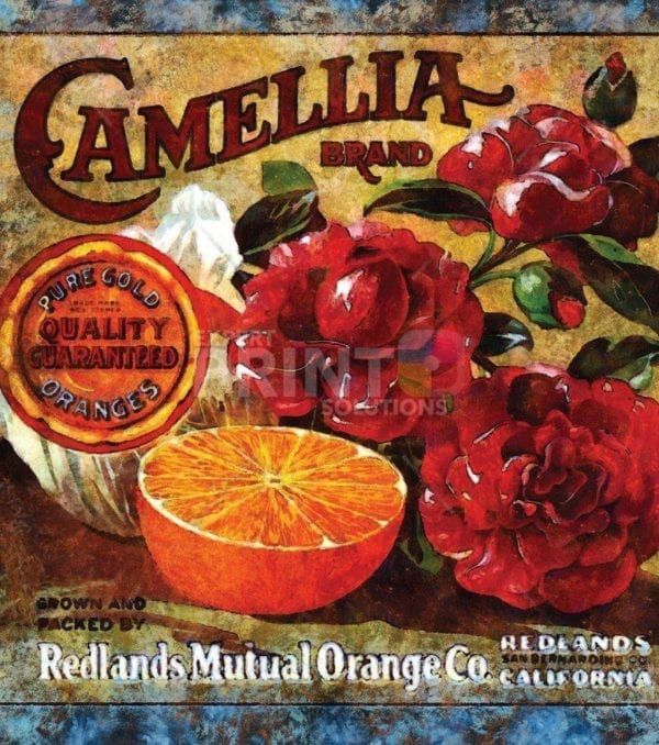 Beautiful Vintage Labels #6 - Camellia Brand Dishwasher Sticker