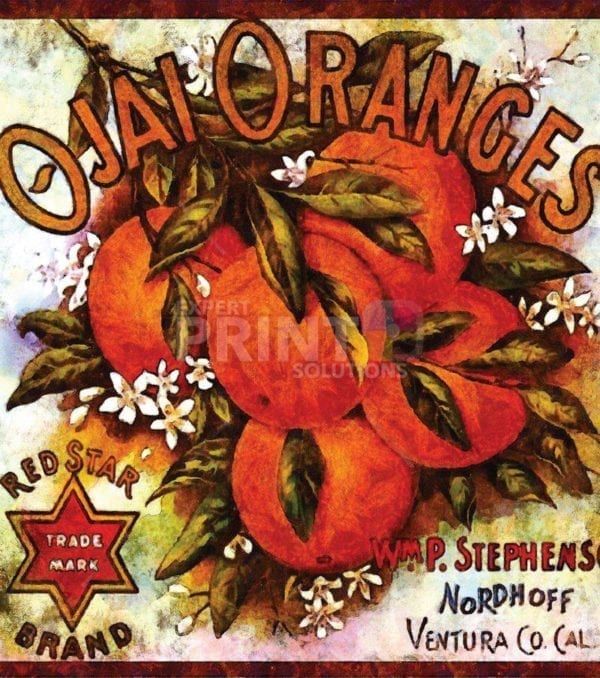 Beautiful Vintage Labels #5 - Ojai Oranges Dishwasher Sticker