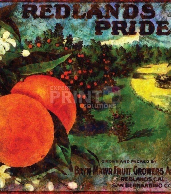 Beautiful Vintage Labels #2 - Redlands Pride Dishwasher Sticker