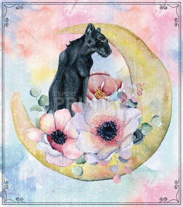 Black Panther with Flowers and the Moon #5 Dishwasher Sticker