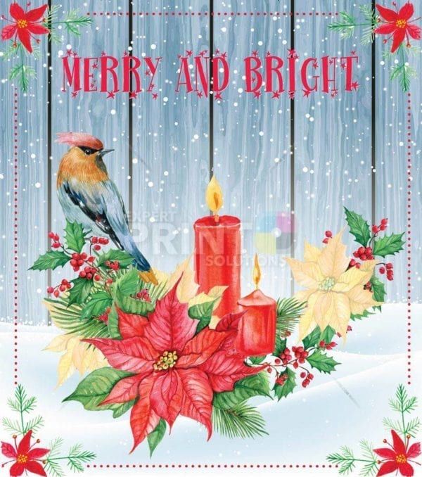 Christmas - Winter Birds and Flowers #2 - Merry and Bright Dishwasher Sticker