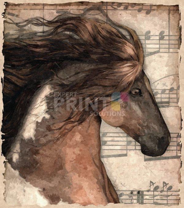 Beautiful Gypsy Horses #4 Dishwasher Sticker