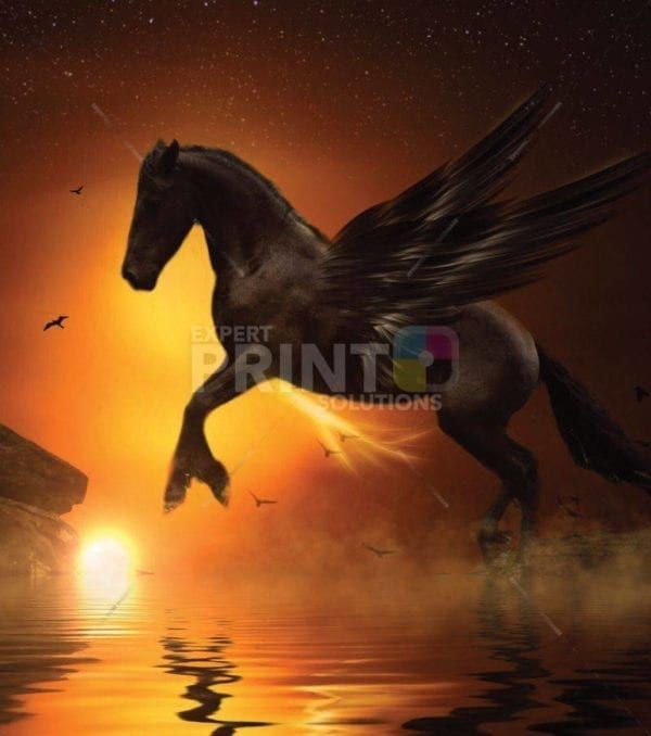 Black Sunset Pegasus Dishwasher Sticker