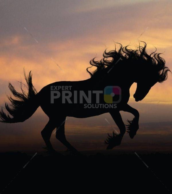 Sunrise Stallion Dishwasher Sticker