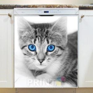 Blue Eyed Kitten Dishwasher Sticker