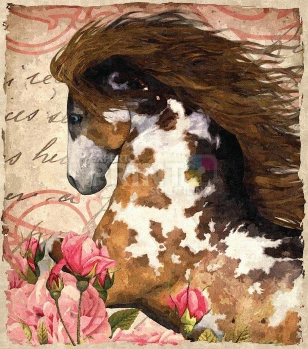 Beautiful Gypsy Horses #3 Dishwasher Sticker