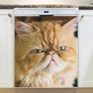 Silly Cat Face Dishwasher Sticker