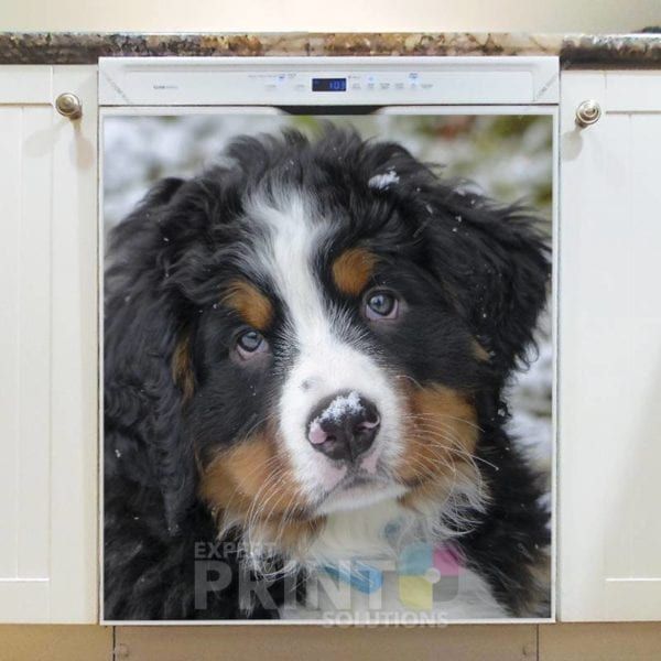 Bernese Mountain Puppy Dishwasher Sticker