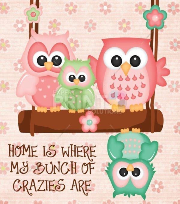 Silly Owls - Home is where my bunch of crazies are Dishwasher Sticker