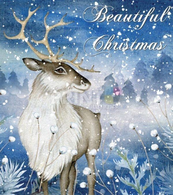 Christmas - Grey Winter Reindeer - Beautiful Christmas Dishwasher Sticker