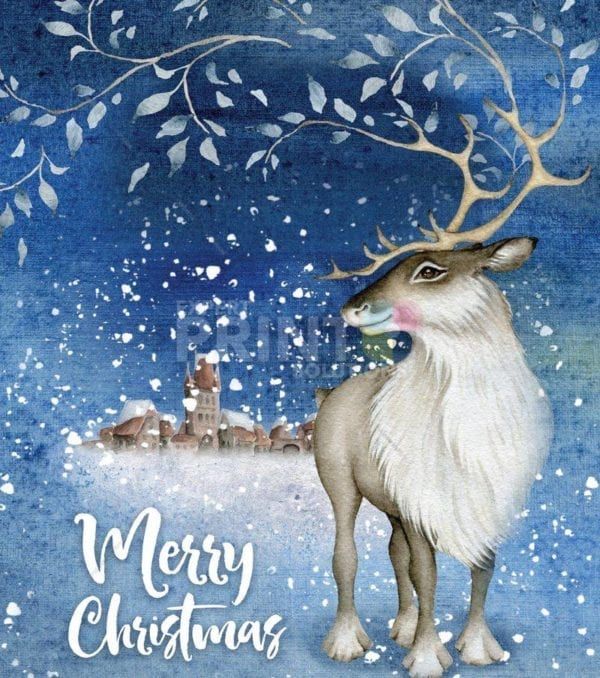Christmas - Beautiful Reindeer - Merry Christmas Dishwasher Sticker