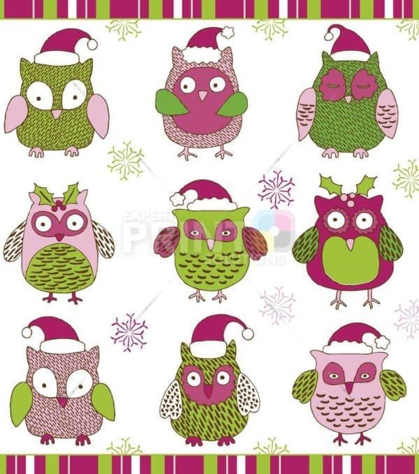 Christmas - Festive Winter Owls Dishwasher Sticker