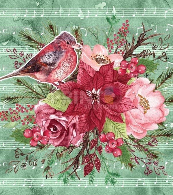 Christmas - Beautiful Poinsettia and Bird Dishwasher Sticker