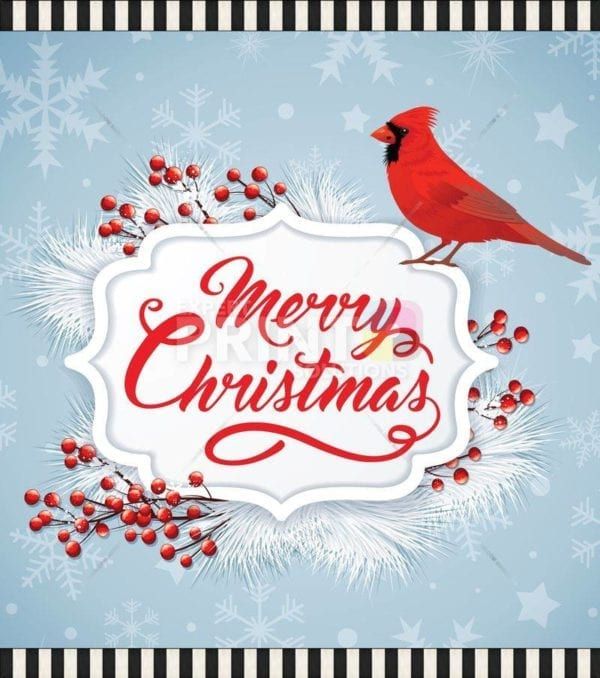 Christmas - Beautiful Cardinal - Merry Christmas Dishwasher Sticker