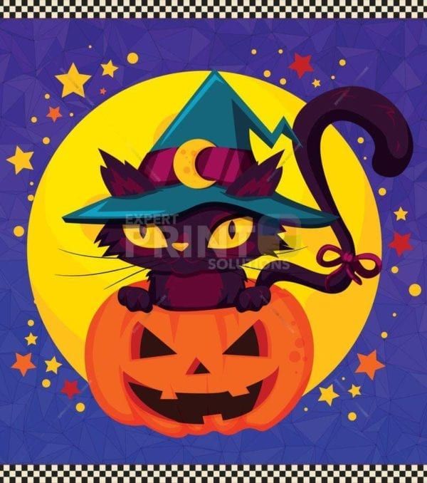 Cute Halloween Witch Cat #2 Dishwasher Sticker