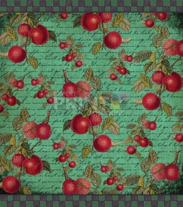 Juicy Fruit - Apples Dishwasher Sticker