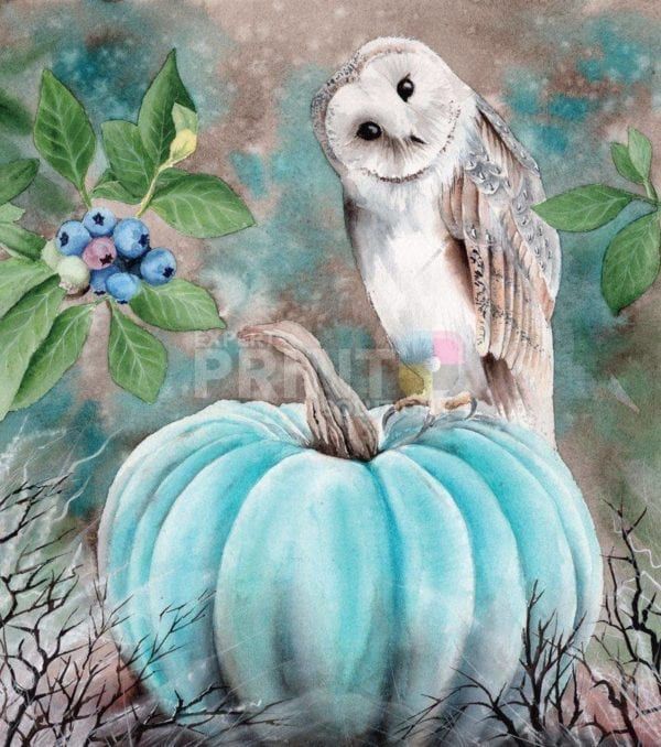 Cute Barn Owl Sitting an a Blue Pumpkin Dishwasher Sticker