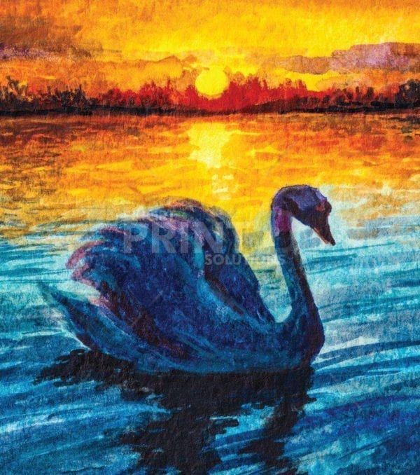 Beautiful Sunset Swan Dishwasher Sticker