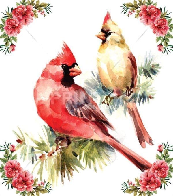 Pretty Cardinal Couple Dishwasher Sticker