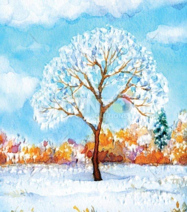 Four Season Trees - Winter Dishwasher Sticker