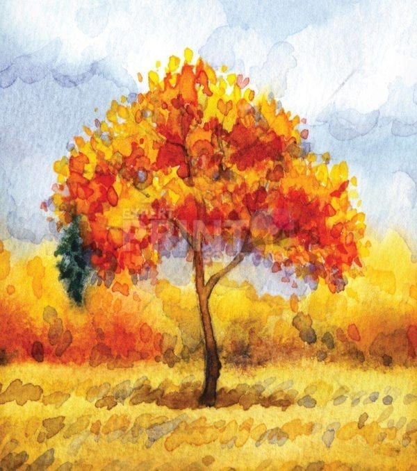 Four Season Trees - Fall Dishwasher Sticker