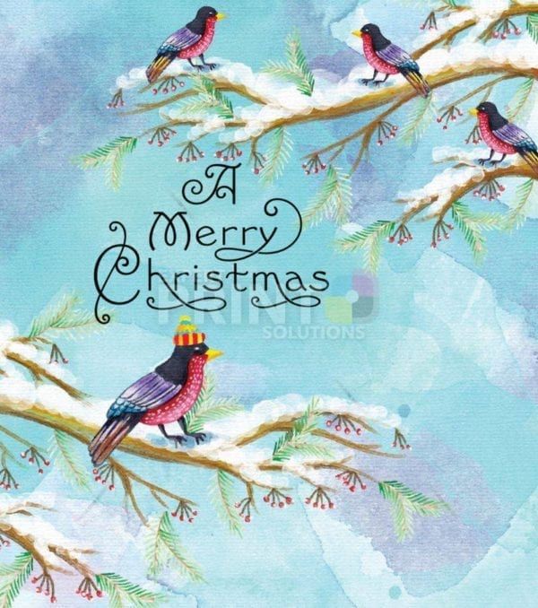 A Merry Christmas - Cute Birds in Hat Dishwasher Sticker