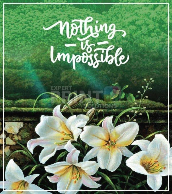 Nothing is Impossible Dishwasher Sticker