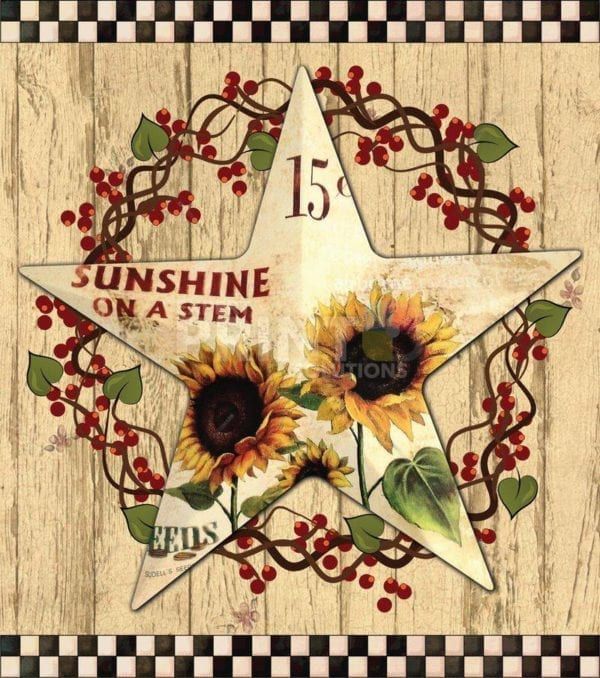 Primitive Country Folk Barn Star #1 - Sunshine on a Stem Dishwasher Sticker