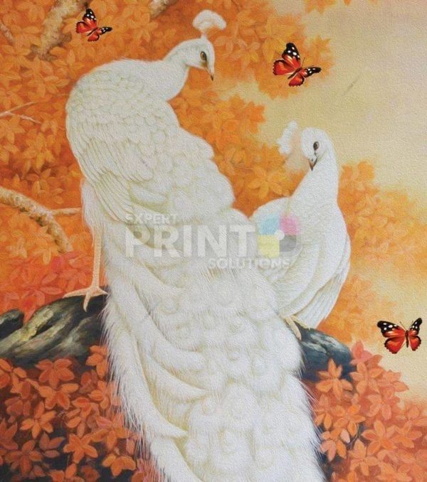 Beautiful White Peacocks Dishwasher Sticker