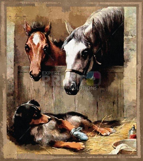 Cute Farm Dogs and Horses #3 Dishwasher Sticker