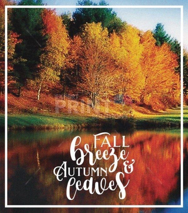 Beautiful Autumn Trees #2 - Fall Breeze & Autumn Leaves Dishwasher Sticker
