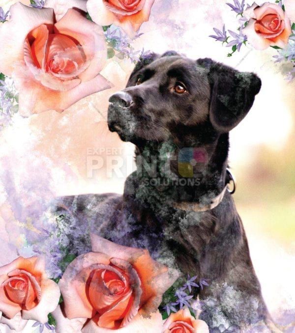 Black Labrador and Roses Garden Flag