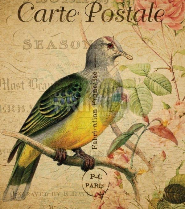 Vintage Carte Postale with Bird and Flowers Garden Flag
