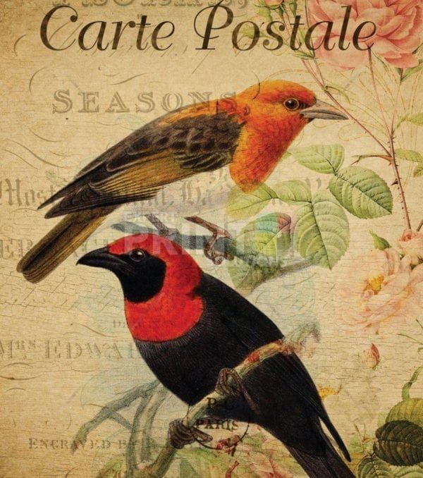 Vintage Carte Postale with Birds and Flowers #2 Garden Flag