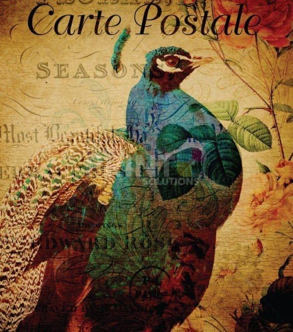 Vintage Carte Postale with a Peacock Garden Flag