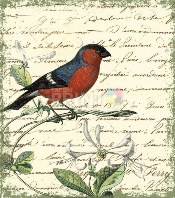 Old World Flycatcher Garden Flag