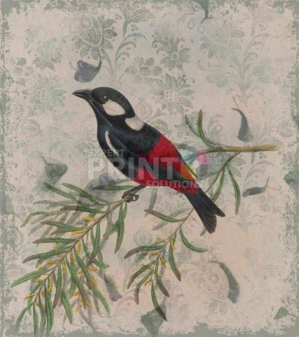 Old World Red and Black Flycatcher Garden Flag