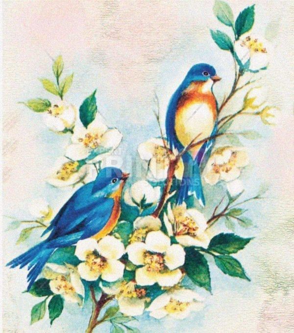 Blue Birds and White Flowers Garden Flag