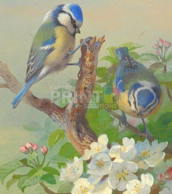 Beautiful Still Life with Birds in the Garden #1 Garden Flag