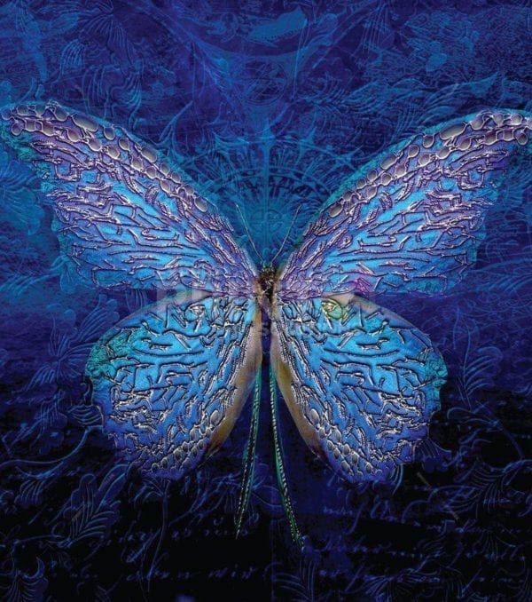 Beautiful Glowing Butterfly #2 Dishwasher Magnet - Expert Print Solutions