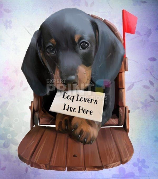 Cute Dachshund, with a Mailbox, and a Letter Garden Flag
