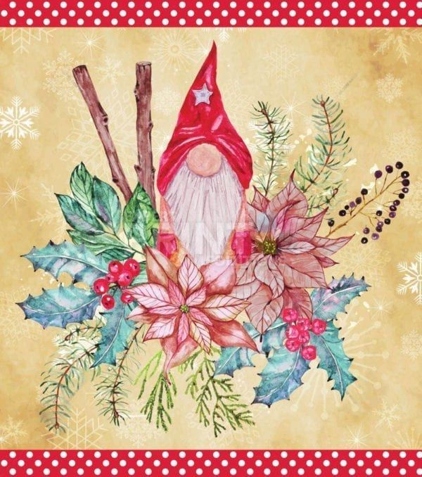 Christmas Decoration and a Gnome Garden Flag