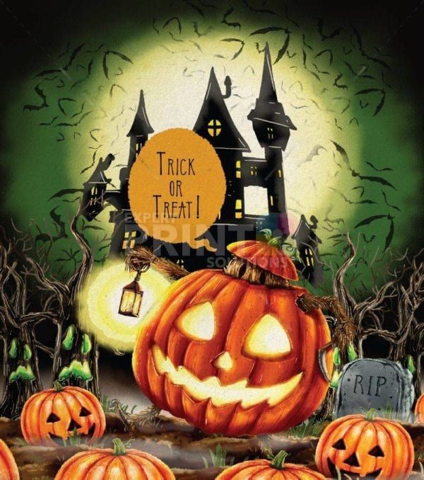 Trick or Treat Halloween Pumpkin Garden Flag