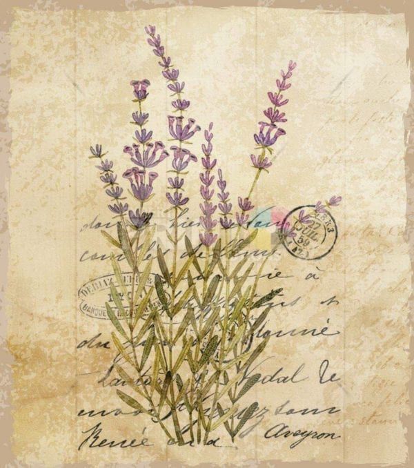 Vintage Lavender Design #5 Garden Flag