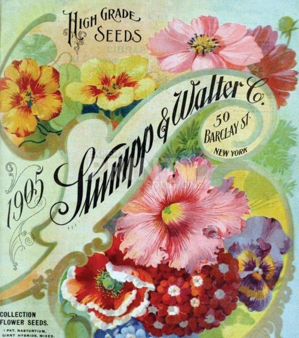 Vintage Retro Flower Seed Label #1 Garden Flag