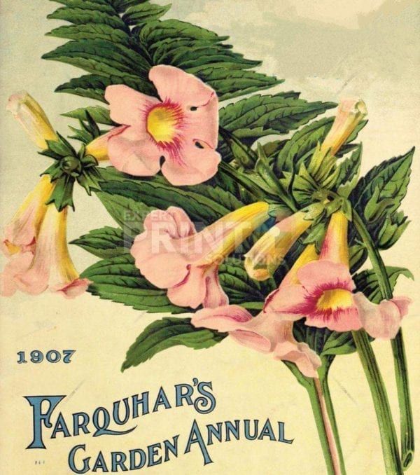 Vintage Retro Flower Seed Label #19 Garden Flag