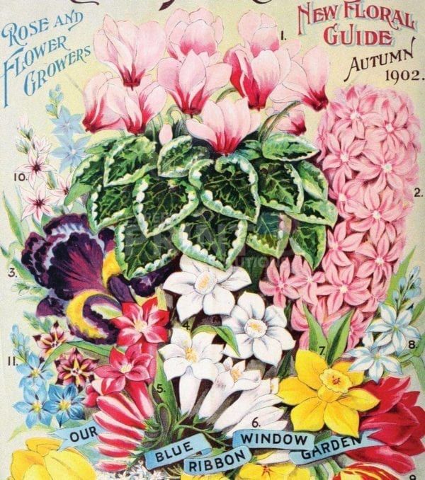 Vintage Retro Flower Seed Label #26 Garden Flag