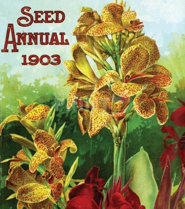 Vintage Retro Flower Seed Label #27 Garden Flag