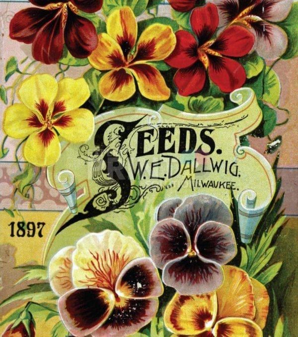 Vintage Retro Flower Seed Label #29 Garden Flag